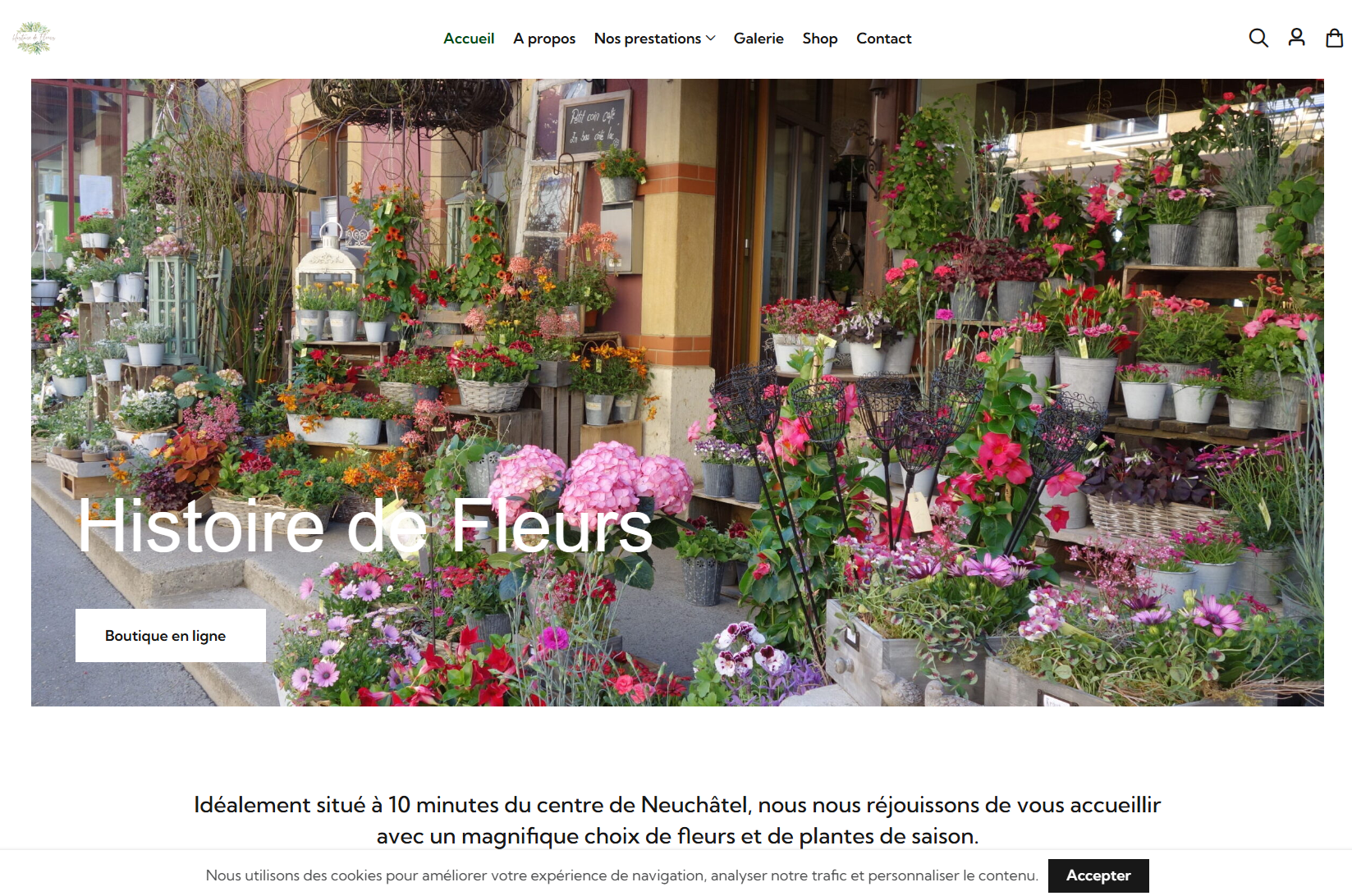 Histoire de Fleurs — réalisation Fish Studio (Web)